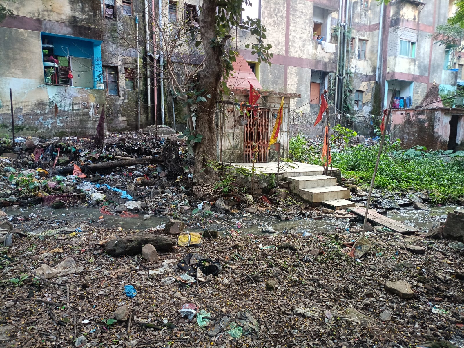 1762420185 WhatsApp Image 2025 11 05 at 14.43.19 (2)